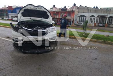 Seguridad Bahia de Banderas ·1704