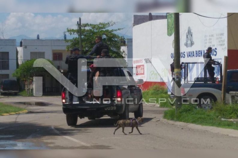 Seguridad Bahia de Banderas ·1776