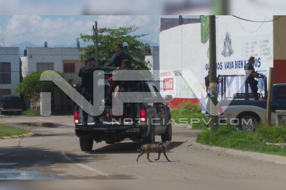 Seguridad Bahia de Banderas ·1776