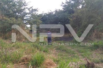 Seguridad Bahia de Banderas ·1785