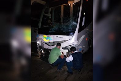 Seguridad Bahia de Banderas ·1917