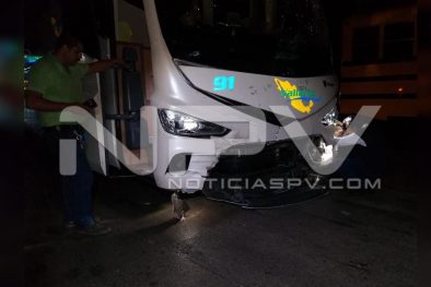 Seguridad Bahia de Banderas ·1918