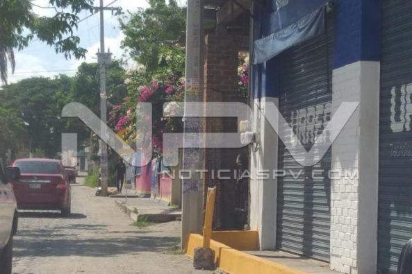 Seguridad Bahia de Banderas ·1994