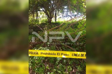 Seguridad Bahia de Banderas ·213