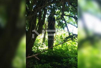 Seguridad Bahia de Banderas ·214