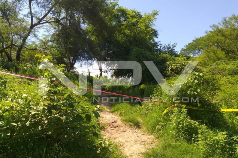 Seguridad Bahia de Banderas ·215