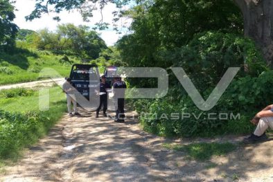 Seguridad Bahia de Banderas ·217