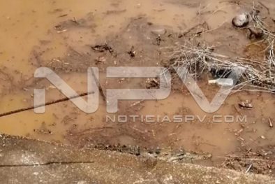 Seguridad Bahia de Banderas ·2232