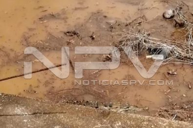 Seguridad Bahia de Banderas ·2232