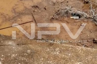 Seguridad Bahia de Banderas ·2233