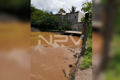 Seguridad Bahia de Banderas ·2234