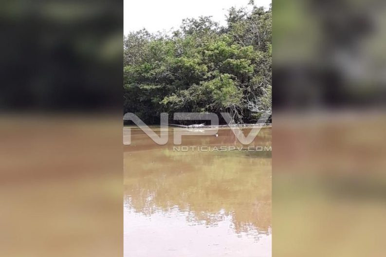 Seguridad Bahia de Banderas ·2235