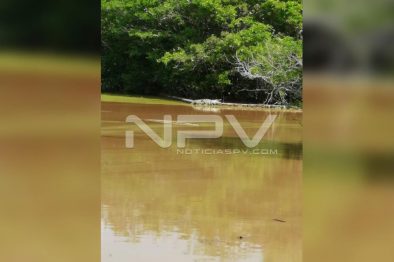 Seguridad Bahia de Banderas ·2236