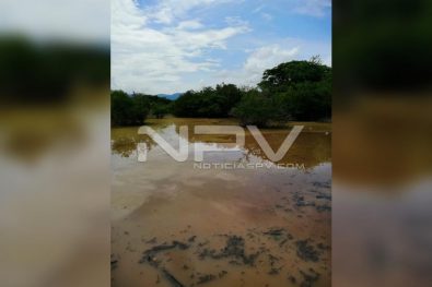 Seguridad Bahia de Banderas ·2237