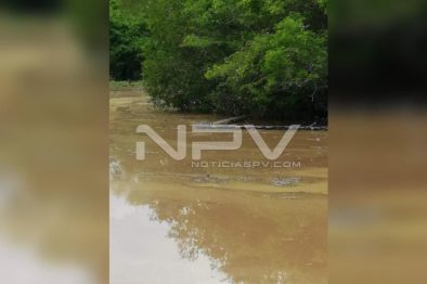 Seguridad Bahia de Banderas ·2238