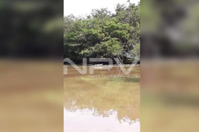 Seguridad Bahia de Banderas ·2239