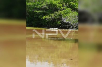 Seguridad Bahia de Banderas ·2240