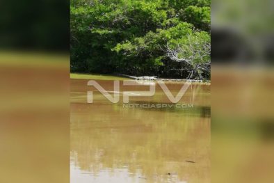 Seguridad Bahia de Banderas ·2240