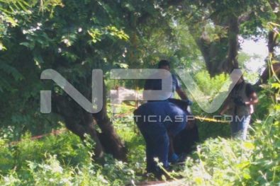 Seguridad Bahia de Banderas ·238