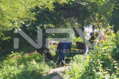 Seguridad Bahia de Banderas ·239