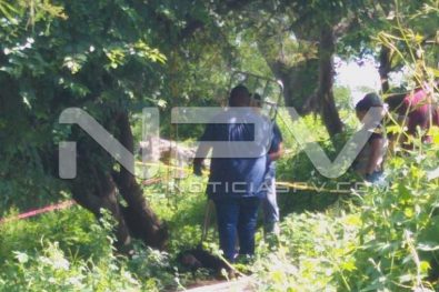 Seguridad Bahia de Banderas ·241