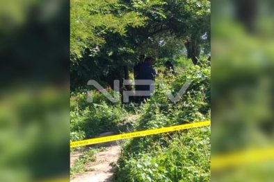 Seguridad Bahia de Banderas ·242