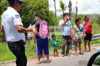 Seguridad Bahia de Banderas ·559