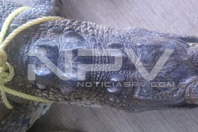 Seguridad Bahia de Banderas ·613