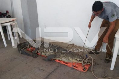 WhatsApp Image 2019-08-28 at 10.17.26 PM (1)