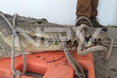 WhatsApp Image 2019-08-28 at 10.17.26 PM