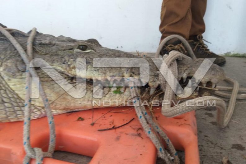 WhatsApp Image 2019-08-28 at 10.17.26 PM