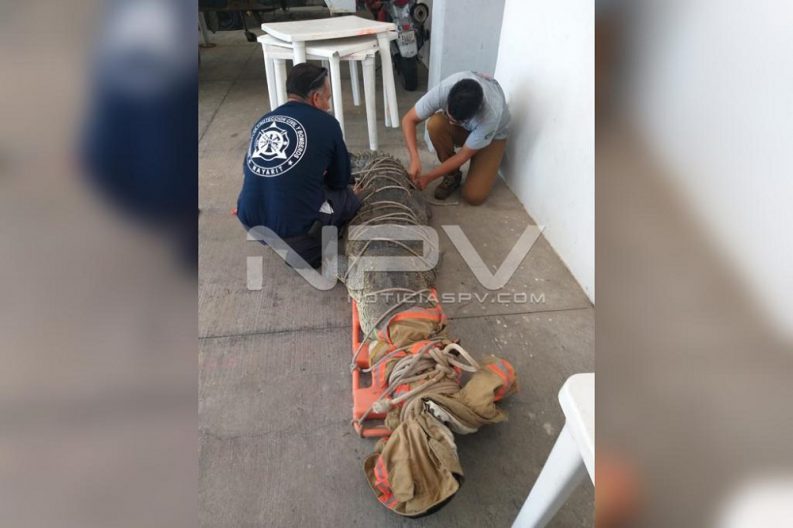 WhatsApp Image 2019-08-28 at 10.17.27 PM (1)