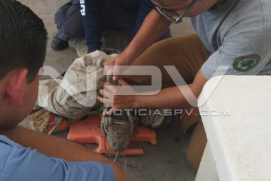 WhatsApp Image 2019-08-28 at 10.17.27 PM (2)