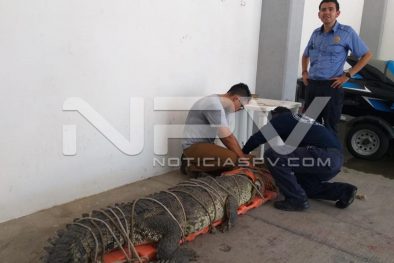 WhatsApp Image 2019-08-28 at 10.17.27 PM (3)