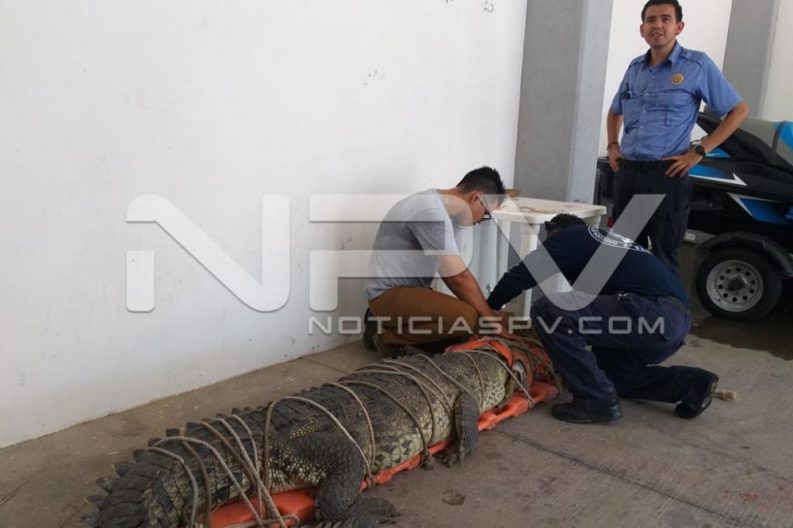 WhatsApp Image 2019-08-28 at 10.17.27 PM (3)