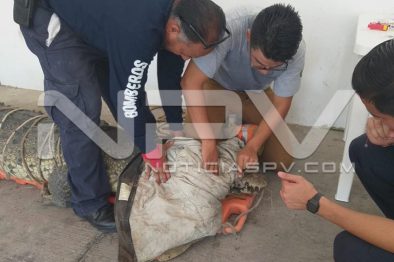 WhatsApp Image 2019-08-28 at 10.17.27 PM