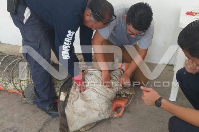 WhatsApp Image 2019-08-28 at 10.17.27 PM