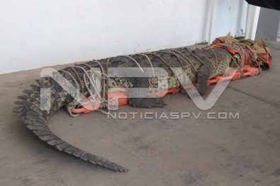 WhatsApp Image 2019-08-28 at 10.19.00 PM