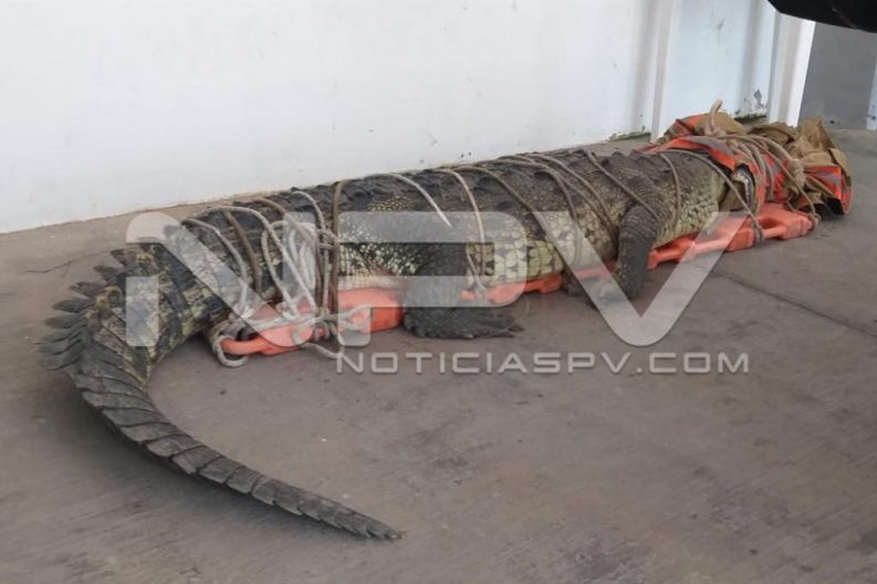 WhatsApp Image 2019-08-28 at 10.19.00 PM