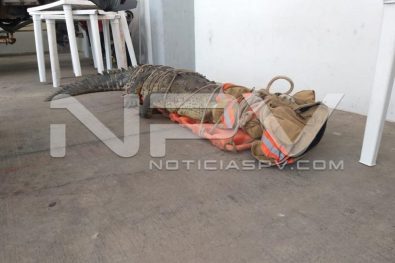 WhatsApp Image 2019-08-28 at 10.19.01 PM (1)