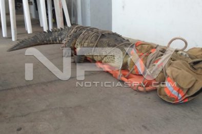 WhatsApp Image 2019-08-28 at 10.19.01 PM (2)