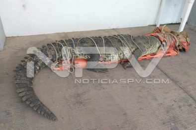 WhatsApp Image 2019-08-28 at 10.19.01 PM (3)