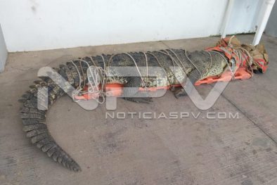 WhatsApp Image 2019-08-28 at 10.19.01 PM (3)