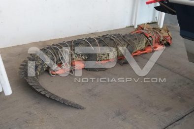 WhatsApp Image 2019-08-28 at 10.19.01 PM