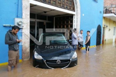 SEGURIDAD2247