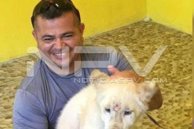 Seguridad Bahia de Banderas ·1599