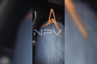 Seguridad Bahia de Banderas ·1711