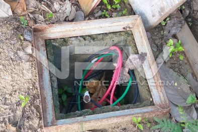 Seguridad Bahia de Banderas ·1750