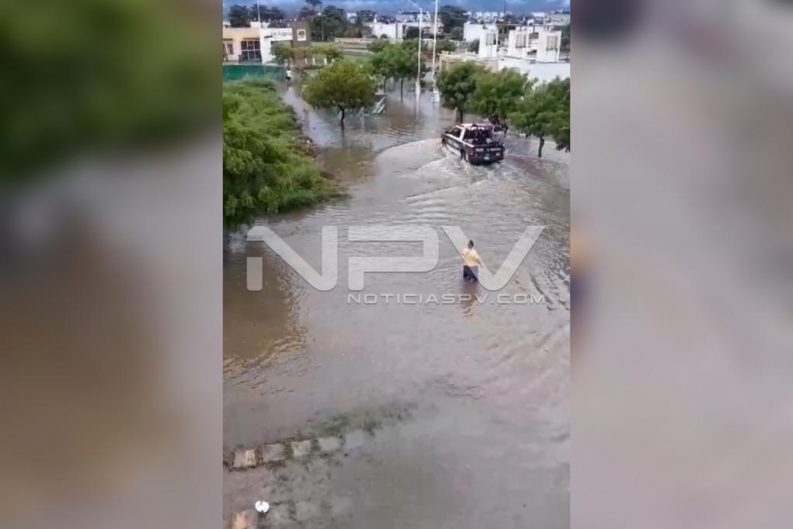 Seguridad Bahia de Banderas ·1960