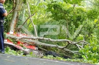 Seguridad Bahia de Banderas ·3250